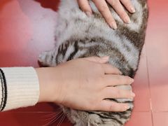 -和它·交个朋友·狗咖猫咖(爱琴海店)