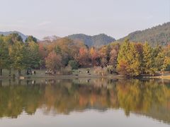 -浙江农林大学(东湖校区)