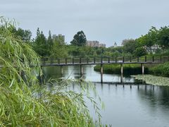 -眉山湿地公园(东坡区)