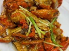-欢乐海岸美食联盟