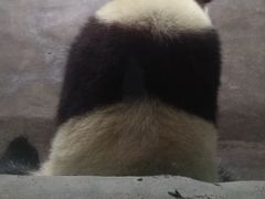 景点-临沂动植物园