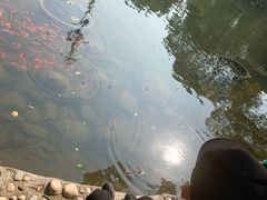-白马涧龙池景区