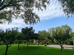 -唐城墙遗址公园