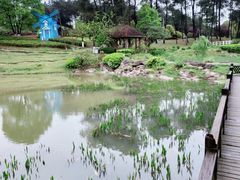 -铁山坪森林公园