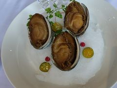 -圆苑(金茂店)