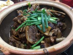 招牌土鹅煲-华仔土鸡店(南洲分店)