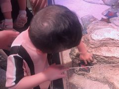 -沈阳海洋探索中心