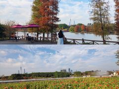 -海珠湖公园
