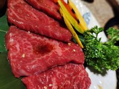 -炼火烤肉店