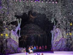 -灵玲国际马戏城
