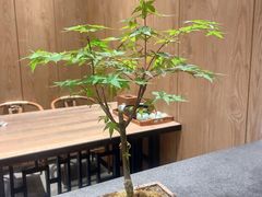 -寻粥岭南(华夏金城店)