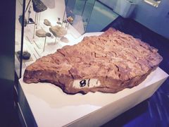 -墨尔本博物馆(Melbourne Museum)