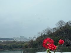 -璟象酒店-爱丽坊景观餐厅