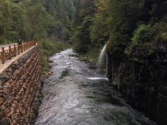 -望天鹅景区