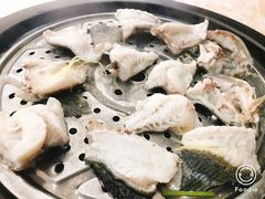 青斑鱼-海大大蒸汽海鲜餐厅·粤菜·特色小炒(欢乐颂店)