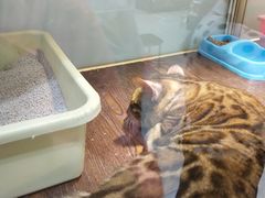 -乐宠宠物店(世纪金源店)