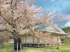 -醍醐寺