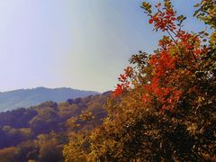 -香山公园