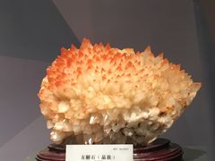 -湖南省地质博物馆