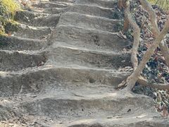 -浮山风景名胜区