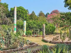 -东莞植物园