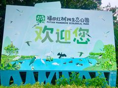 -福田红树林生态公园