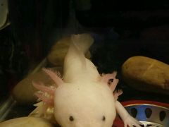 -上海大自然野生昆虫馆