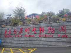 -青藏高原野生动物园