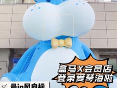 -盒马X会员店(王府井奥莱UP TOWN店)