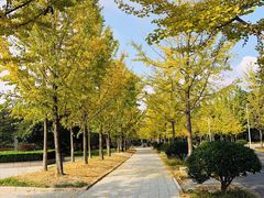-浙江农林大学(东湖校区)