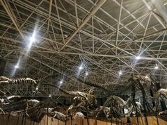 -世界恐龙谷景区