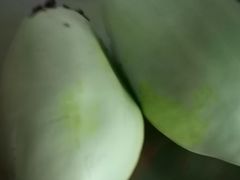-地利生鲜(万科明天广场店)