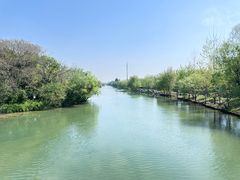 -西溪国家湿地公园