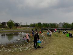 -两河城市森林公园