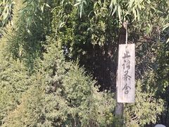 -洛阳白马寺