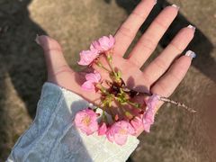 -杭州植物园