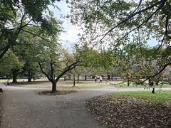 -井之头恩赐公园