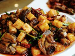 饵块鸡-红豆园(文林街店)