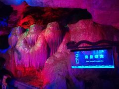 -龙宫洞风景区