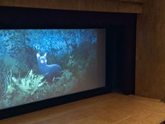 -北京大学百年讲堂