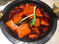 -孙毛肚火锅(春熙路店)