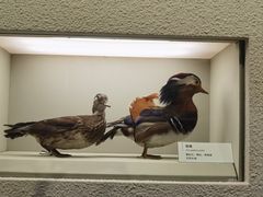 -舟山博物馆