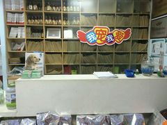-瑞派宠物医院·24h·骨外科·皮肤科·全科宠物医疗转诊中心(沈阳浑南院)