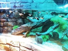 -沈阳海洋探索中心