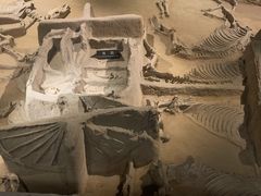 -洛阳周王城天子驾六博物馆