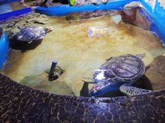 -石林冰雪海洋世界