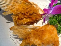 -淘米捞·米汤脆鲩鱼火锅(福田皇岗店)