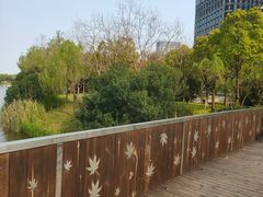 -南翔镇银翔湖公园
