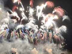 -南宁花花大世界景区