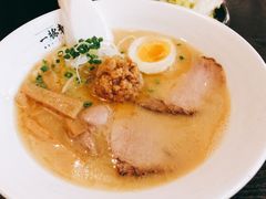 金丸豚骨拉面-一豚轩·烧鸟·豚骨拉面(五四路店)